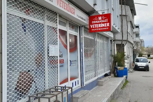 Osmangazi Veteriner Kliniği - Resim 2