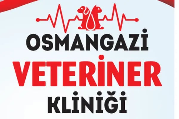 Osmangazi Veteriner Kliniği - Resim 19