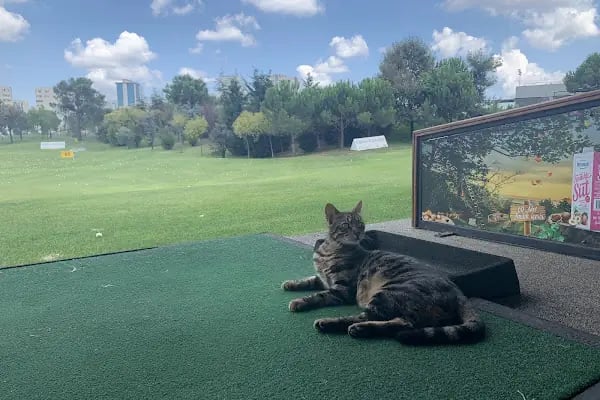 ATASEHIR GOLF CLUB - Resim 9