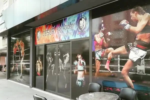 CESUR FIGHT ACADEMY - Resim 2