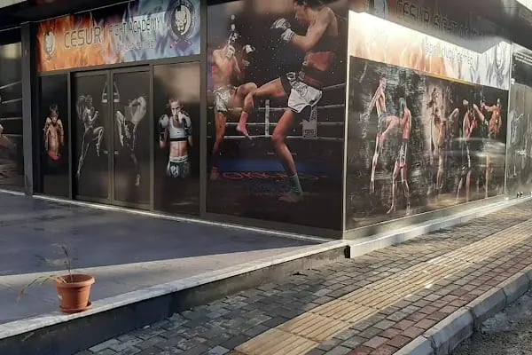 CESUR FIGHT ACADEMY - Resim 5