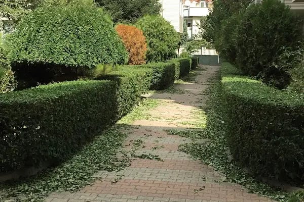 Bankacılar 88 Sitesi - Resim 15