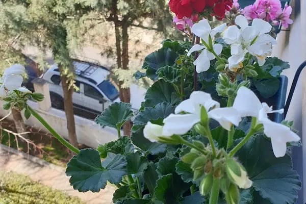 Bankacılar 88 Sitesi - Resim 9