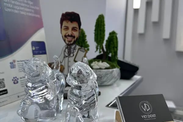 VetDost Veteriner Kliniği - Resim 5