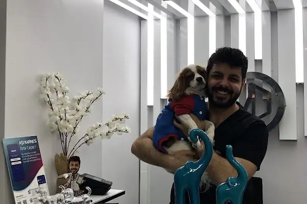 VetDost Veteriner Kliniği - Resim 3