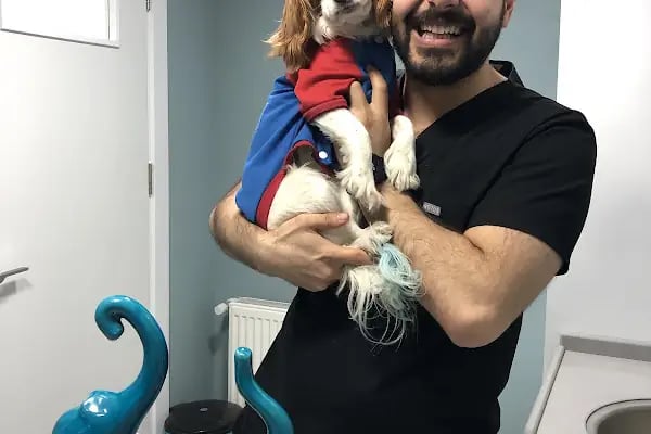 VetDost Veteriner Kliniği - Resim 8