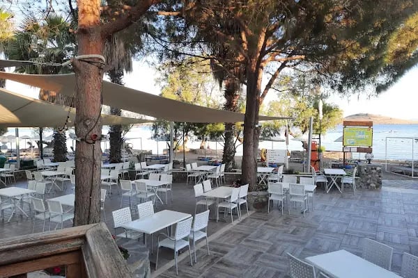 KAVALYE BAR - Resim 2