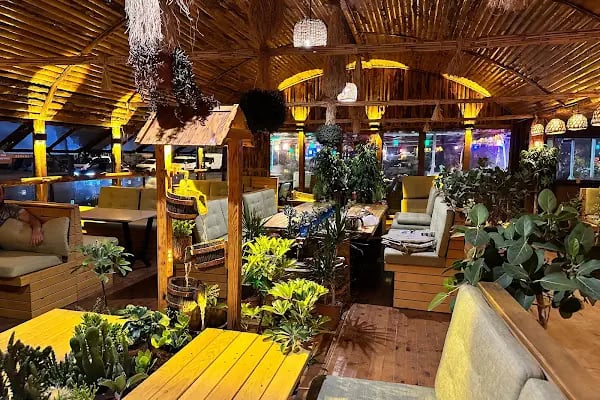 BotanikCafeRestaurant - Resim 2