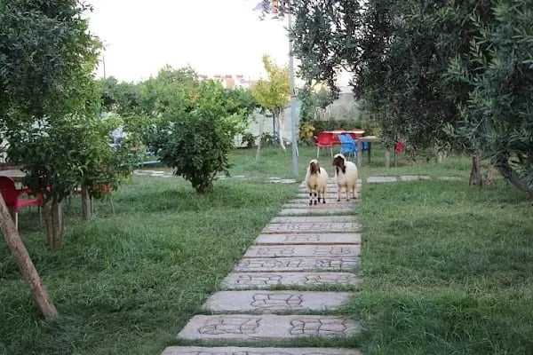yakamoz cafe - Resim 19