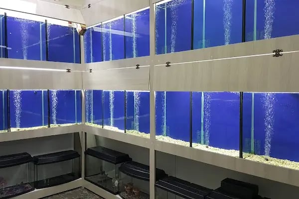 Akvaryum Park - Resim 12