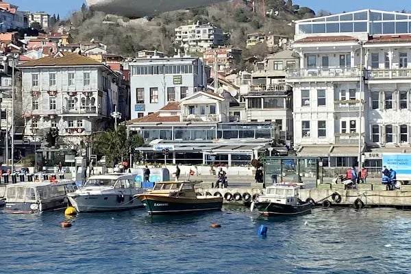 Vira Vira Balık - Resim 18