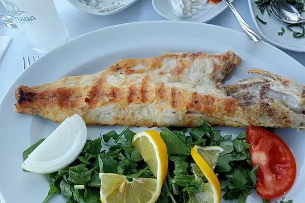 Vira Vira Balık - Resim 5