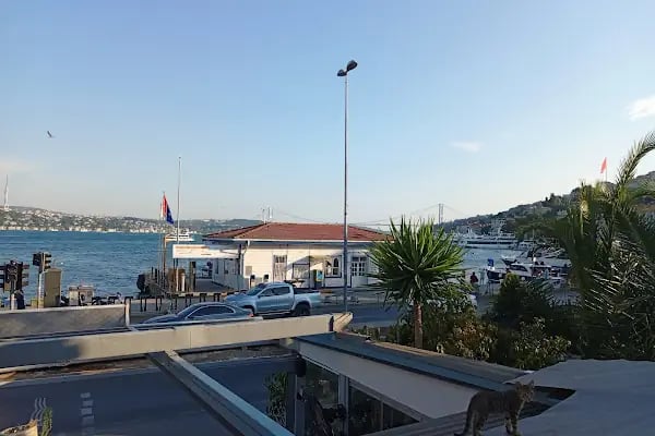 Vira Vira Balık - Resim 7