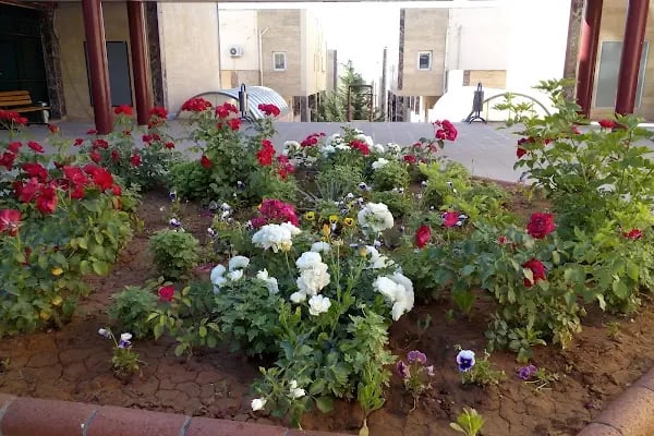 Harran Üniversitesi Eyyübiye Kampüsü - Resim 17