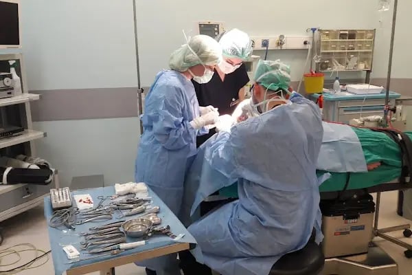 Avicen Hair Transplants, Istanbul - Resim 6