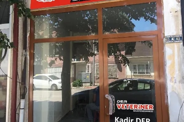 Der Veteriner Muayenehanesi - Resim 1