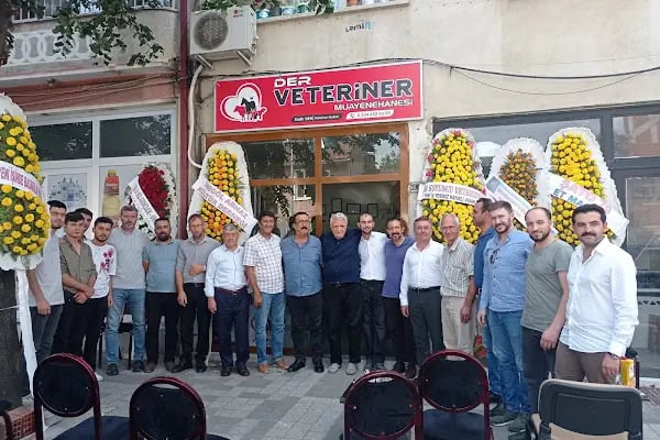 Der Veteriner Muayenehanesi - Resim 2