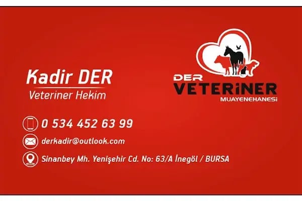 Der Veteriner Muayenehanesi - Resim 4