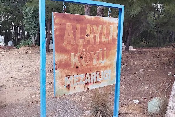 Alaylı Köyü Mezarlığı - Resim 3