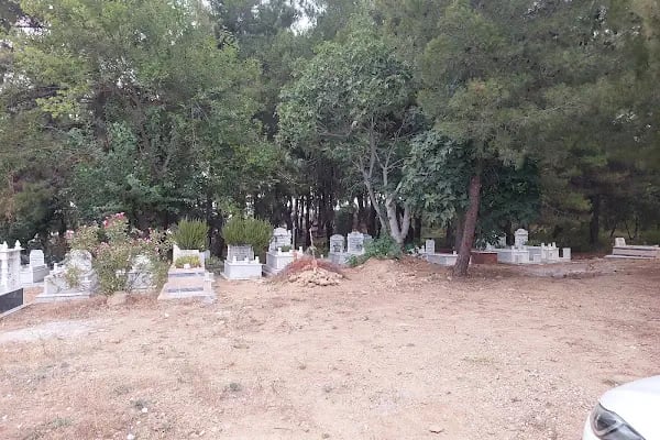 Alaylı Köyü Mezarlığı - Resim 2