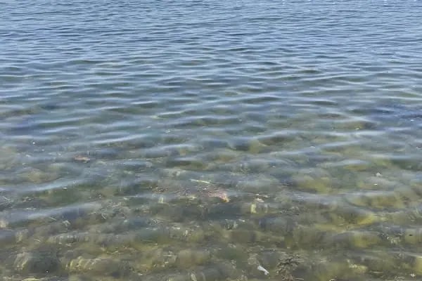 Kartal Belediyesi Sosyal Tesisleri Halk Plajı - Resim 5