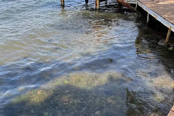Kartal Belediyesi Sosyal Tesisleri Halk Plajı - Resim 10