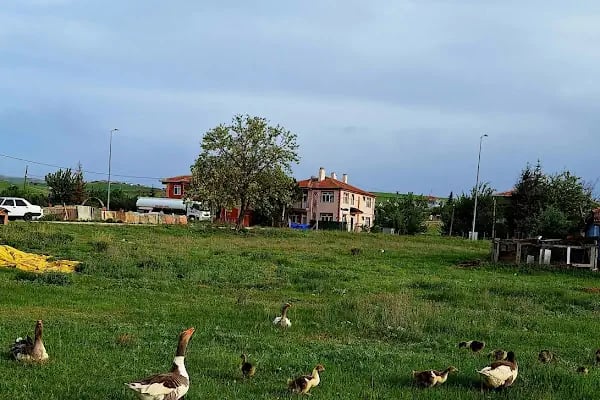Akyurt Park Maya Düğün Salonu - Resim 6