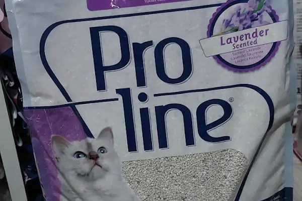DOĞAN PETSHOP(AHATLI) - Resim 10