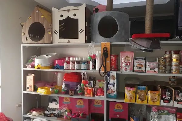 DOĞAN PETSHOP(AHATLI) - Resim 3