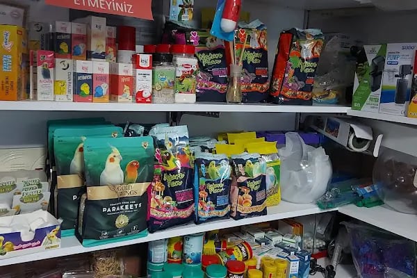 DOĞAN PETSHOP(AHATLI) - Resim 7