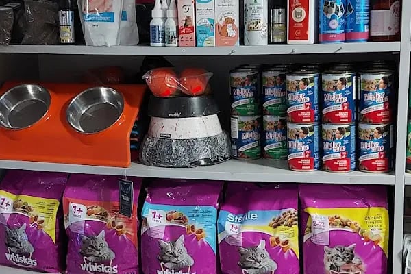 DOĞAN PETSHOP(AHATLI) - Resim 15