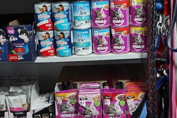 DOĞAN PETSHOP(AHATLI) - Resim 9