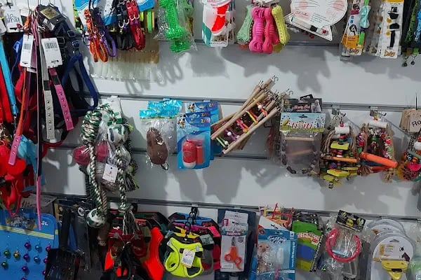 DOĞAN PETSHOP(AHATLI) - Resim 12
