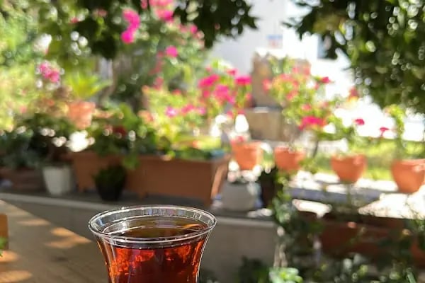 Ayşe Ana'nın Yeri - Resim 12
