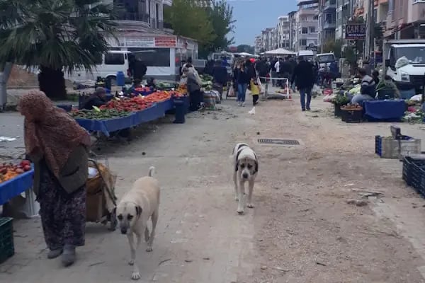 Akçay Altınkum Pazarı - Resim 9