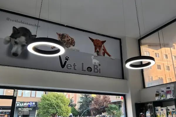 ATAŞEHİR 7/24 ACİL VETERİNER VET LOBİ VETERİNER KLİNİĞİ - Resim 18