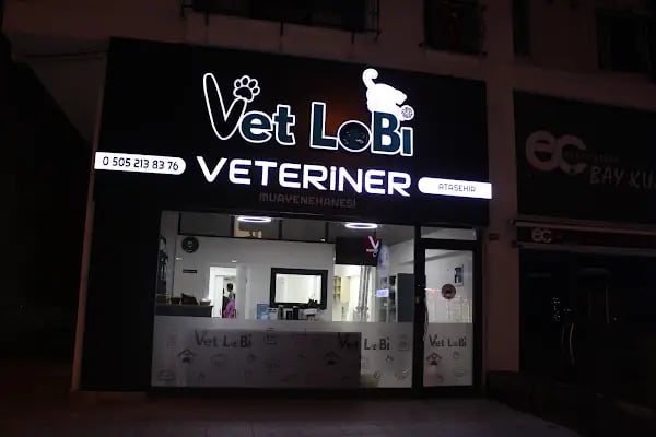 ATAŞEHİR 7/24 ACİL VETERİNER VET LOBİ VETERİNER KLİNİĞİ - Resim 8