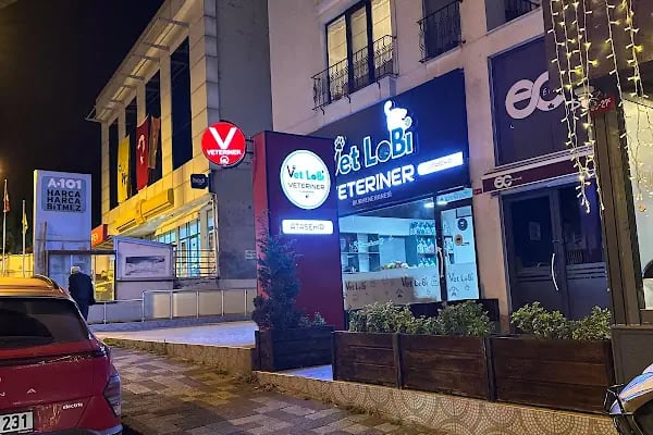 ATAŞEHİR 7/24 ACİL VETERİNER VET LOBİ VETERİNER KLİNİĞİ - Resim 16