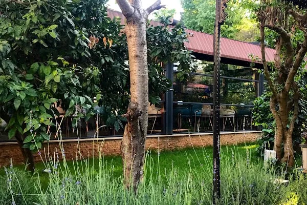 Yücetepe Restoran &amp; Kafe - Resim 5