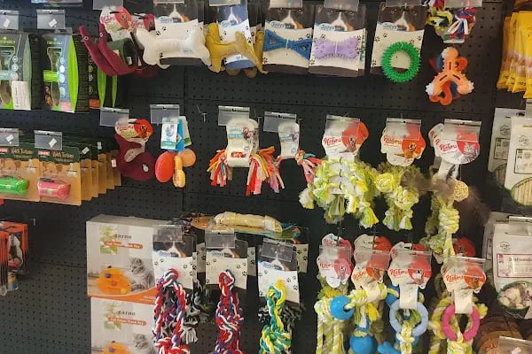 Balım Petshop - Resim 4