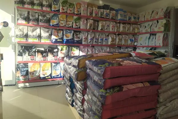 Balım Petshop - Resim 11