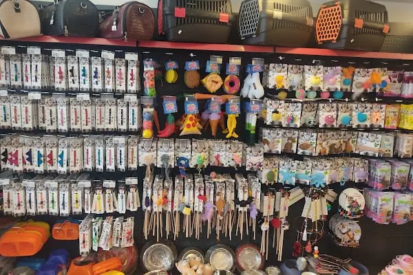 Balım Petshop - Resim 7