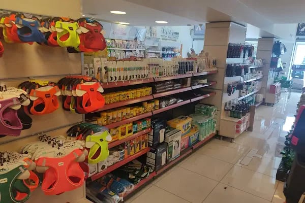 Balım Petshop - Resim 20