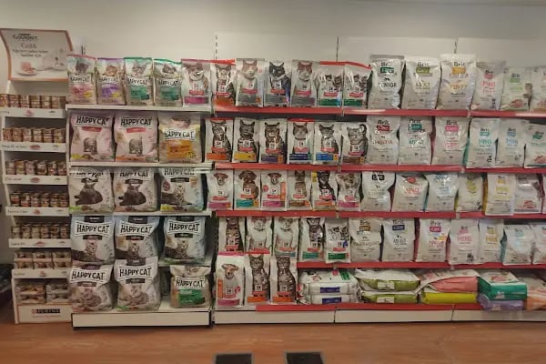 Balım Petshop - Resim 13