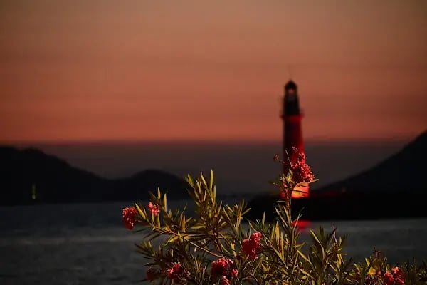 SUNSET RESTAURANT - Resim 11