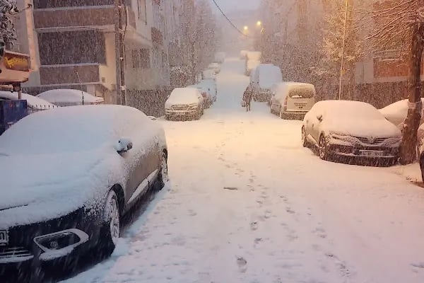 Avcılar Kaymakamlığı - Resim 5