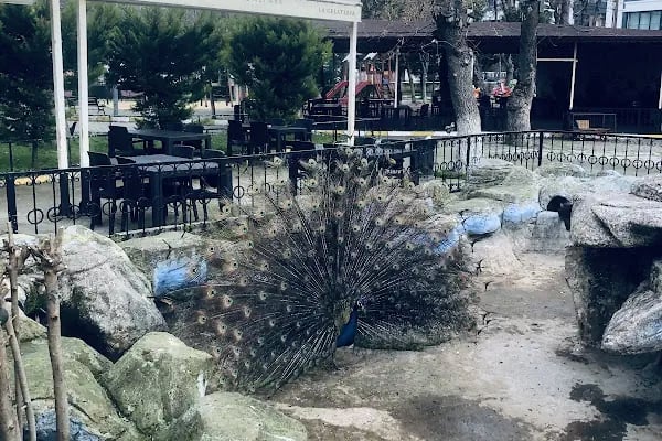 Röne Park Çay Bahçesi - Resim 13