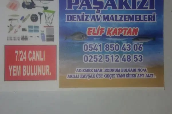 PAŞAKIZI AV MALZEMELERİ CANLI YEM - Resim 7