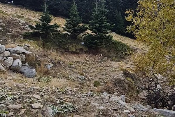 Bursa Büyükşehir Belediyesi Kayak Evi - Resim 20