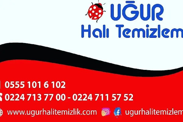 Uğur halı yıkama - Resim 2
